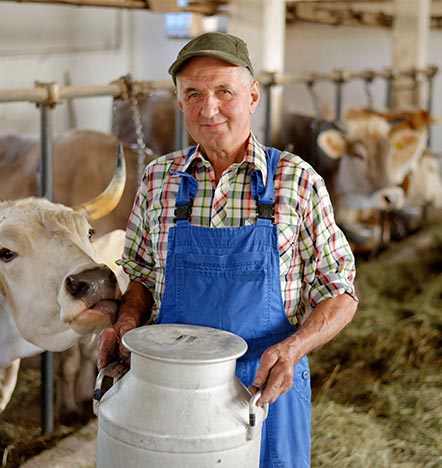 dairy-farming-gallery-1