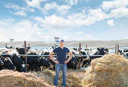 dairy-farming-gallery-9
