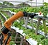 dairy-farming-footer-post-2