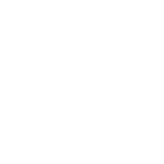 fitness first blurflake