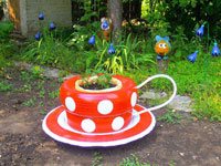 garden-care-menu-img4