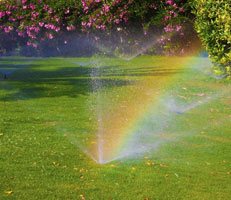 garden-care-coose1