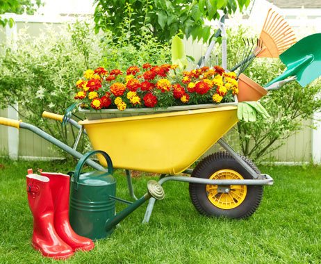 garden-care-coose3