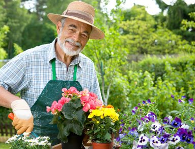 garden-care-gallery1