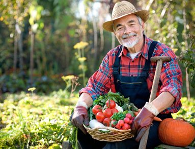 garden-care-gallery10