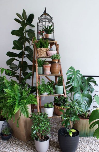 garden-care-gallery2