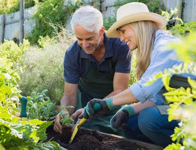 garden-care-gallery3