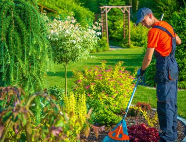 garden-care-gallery4