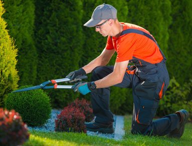 garden-care-gallery5
