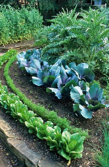 garden-care-gallery7