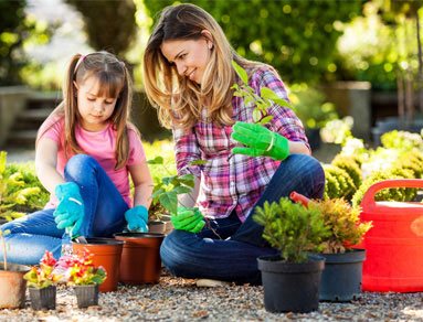 garden-care-gallery8