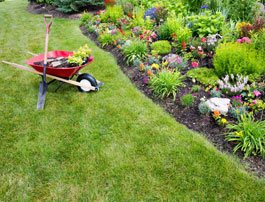 garden-care-service1