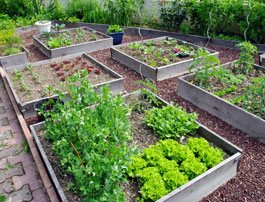 garden-care-service2