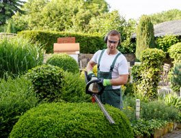 garden-care-service3