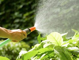 garden-care-service4