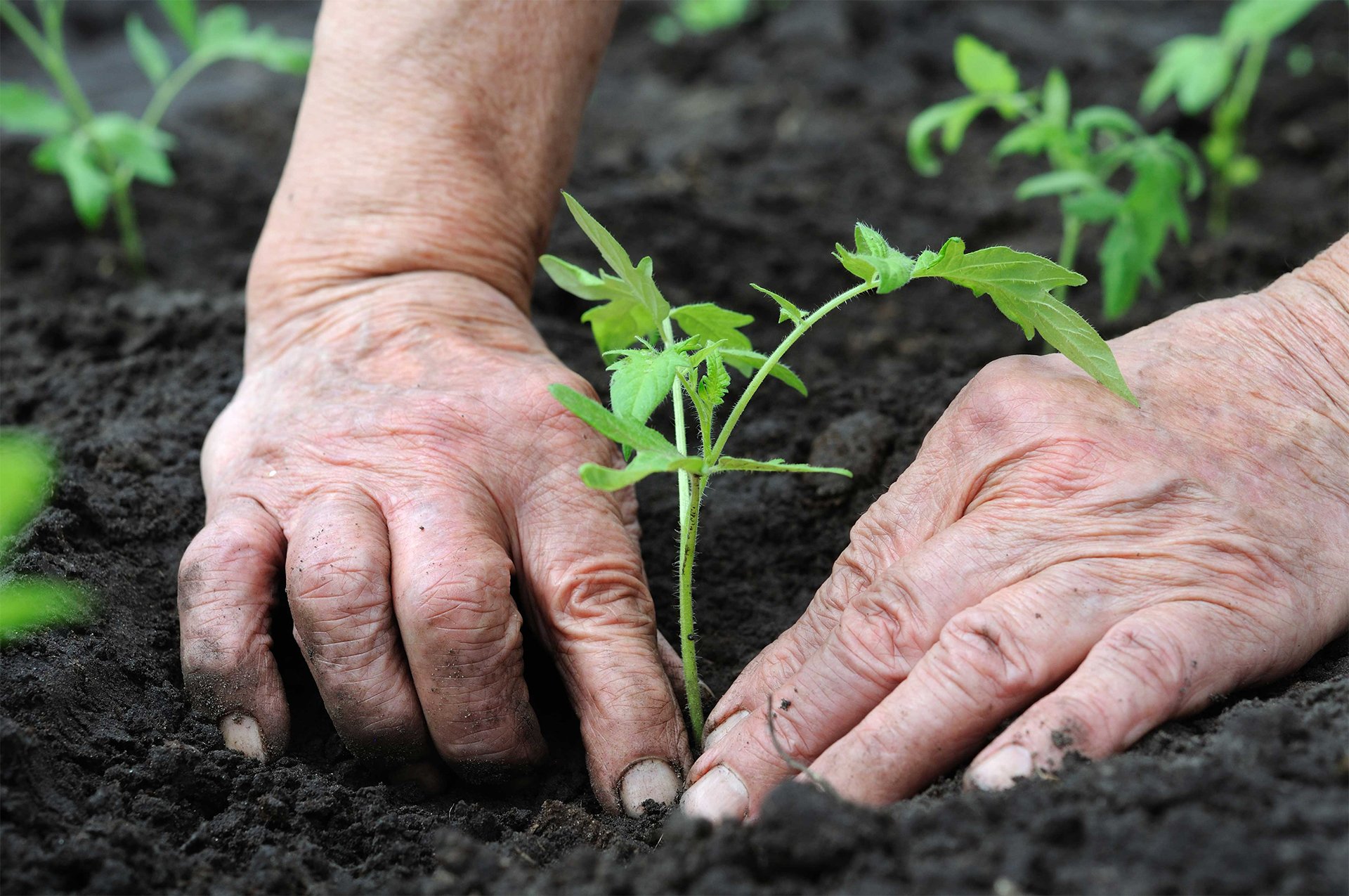 garden-care-main-banner2