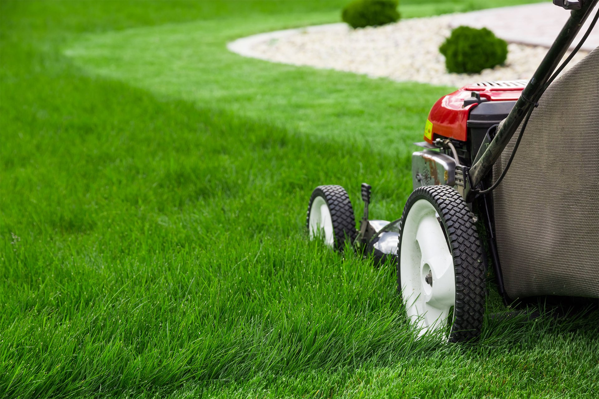 garden-care-main-banner3