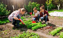 gardening-design-and-planting