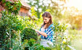 gardening-lawn-garden
