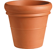 gardening-product-2