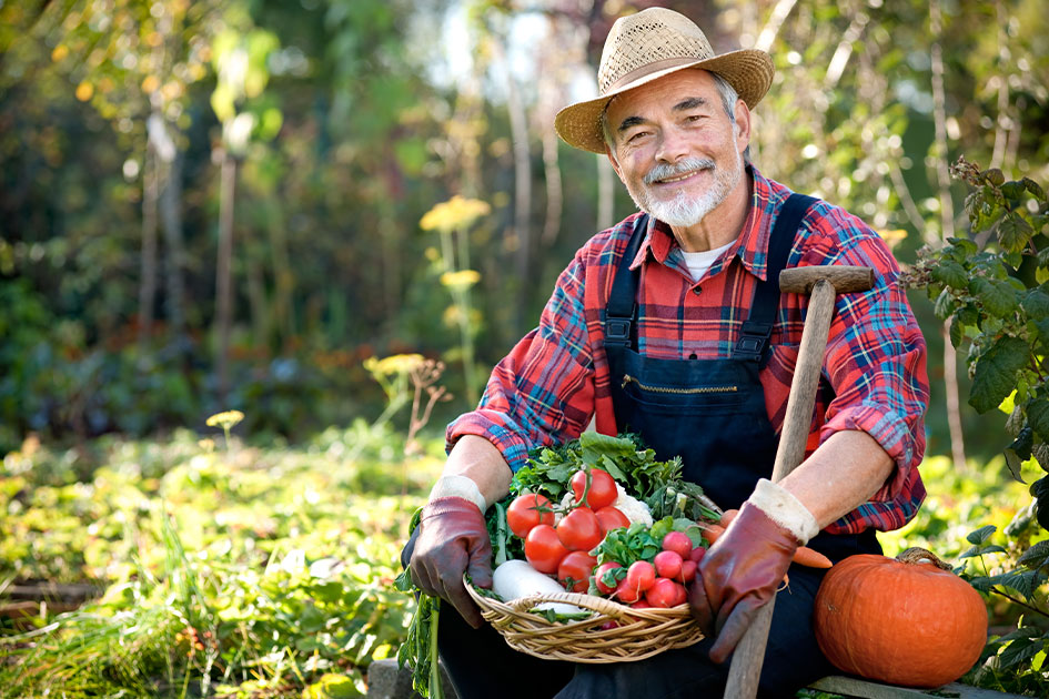 gardening-service-about2