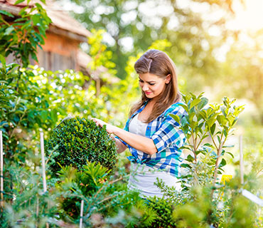 gardening-project-2