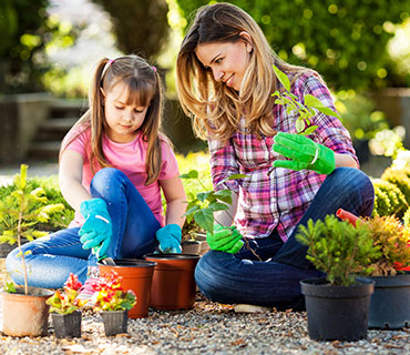 gardening-project-3