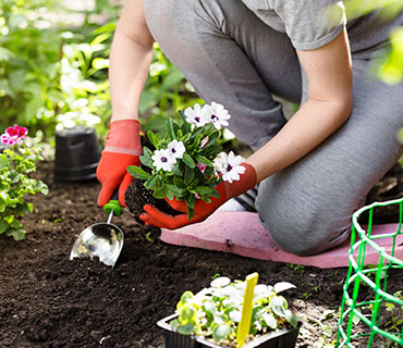 gardening-project-4