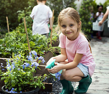 gardening-project-4