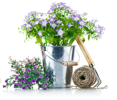 Tussie-Mussie Bouquets