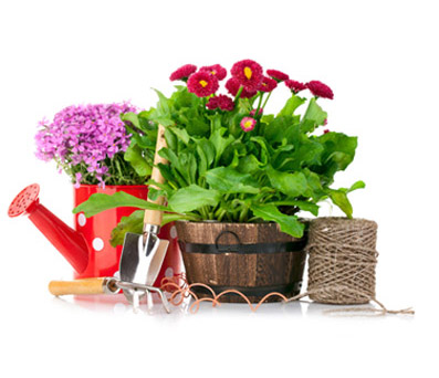 Tussie-Mussie Bouquets