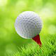 golfclub-gallery-2