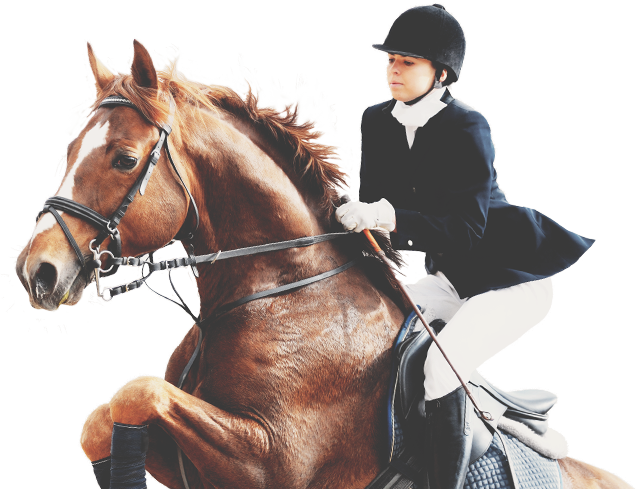 horse-club-about