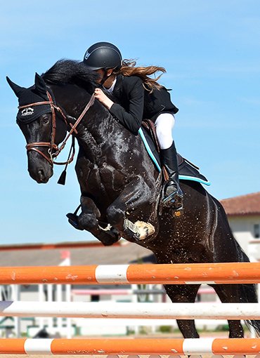 horse-club-gallery1