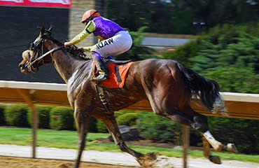 horse-club-gallery2