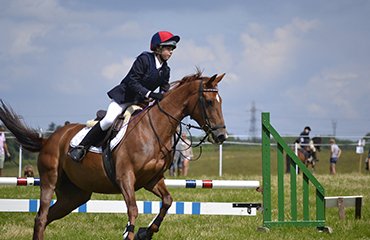 horse-club-gallery3