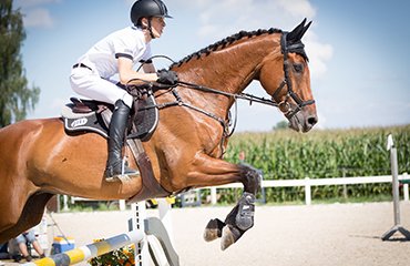 horse-club-gallery4