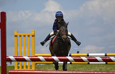 horse-club-gallery5