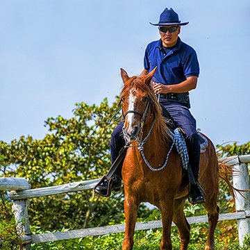 horse-club-staff3