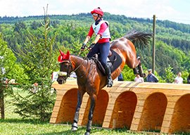 horse-club-video2