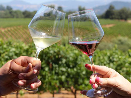 luxury-wine-banner-2
