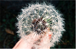 featured image