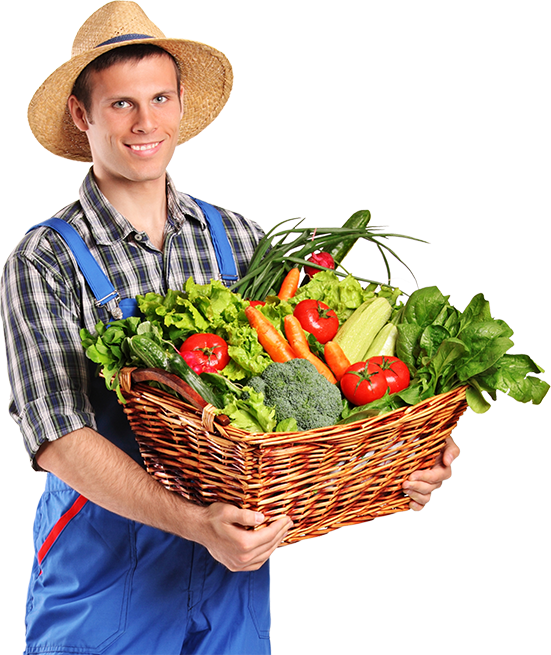 orange_service_boy