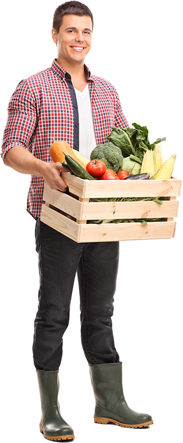 organic-shop-boy