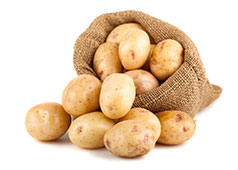 organic-shop-product2