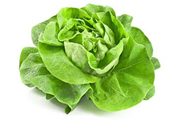 organic-shop-product7