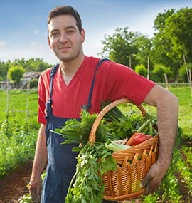 organic-shop-team3