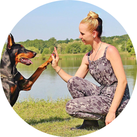 pets-care-team1