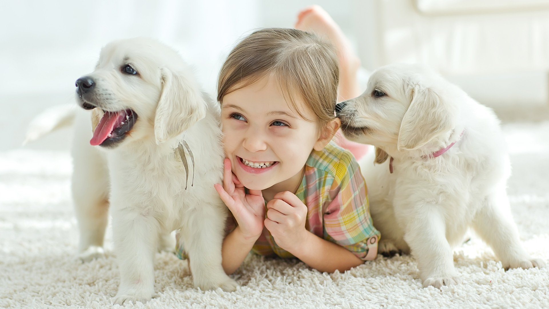 pets-care-slider-2