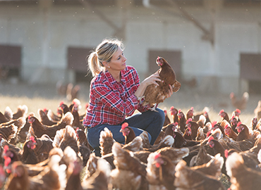 poultry-farming-blog-2